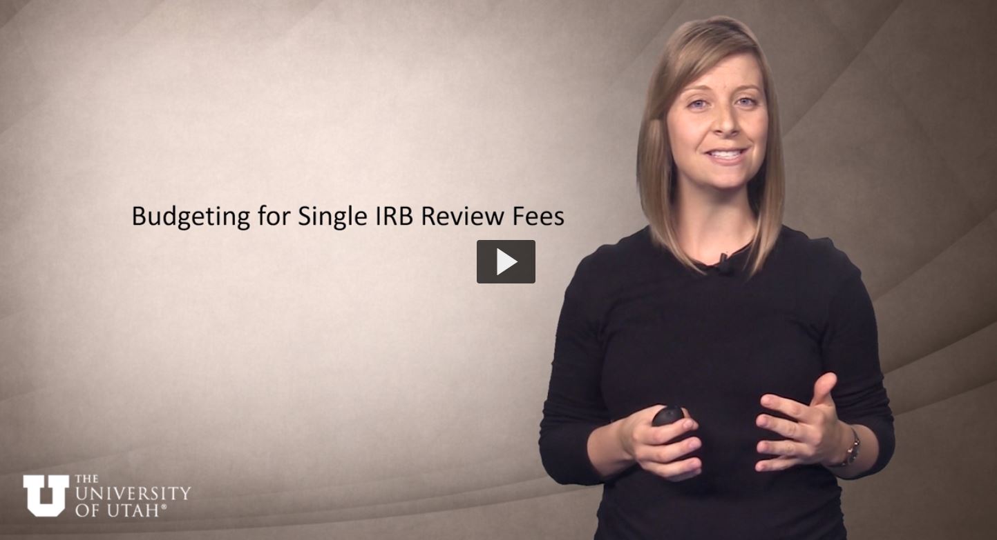 Budgeting for SIRB Fees Video