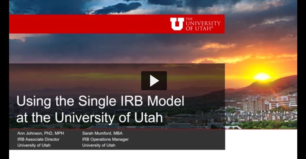 Using the SIRB Model at the U